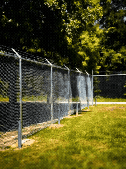 Chain Link