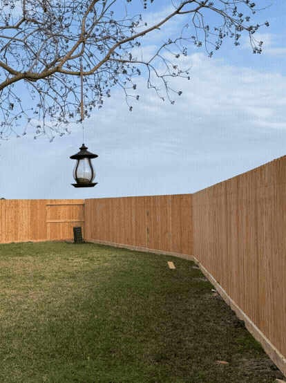 Stain Fence